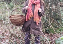 Learn to forage at Deer Wood