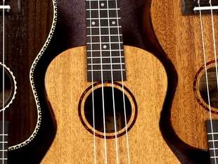 Modbury Uke ‘n’ Sing opens Kingsbridge Fringe Festival 