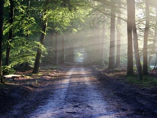 New conference highlights the importance of conservation