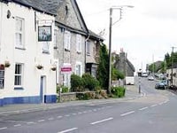 Invitation to take part in tree planting in Yealmpton