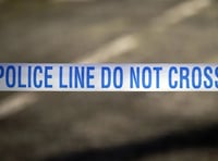 Police appeal after man stabbed in Plymouth