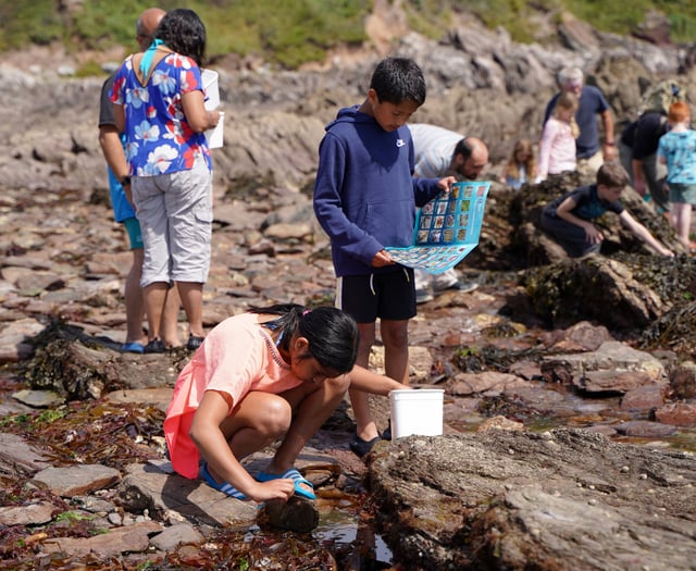 Season kicks off for marine centre