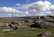 MPs call for public inquiry on Dartmoor