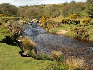 96% of English bathing waters meets required water quality standards