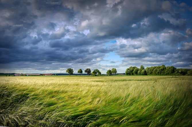 An English countryside field.