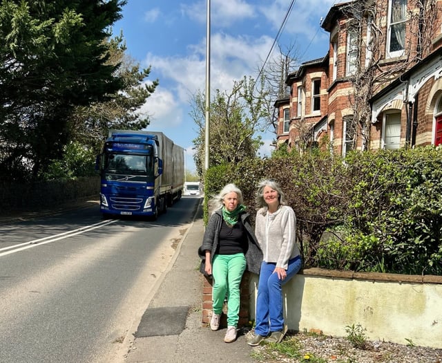 Health warnings  prompt action call for toxic road
