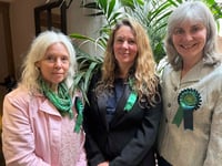 Greens gain district seats in historic election