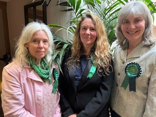 Greens gain district seats in historic election