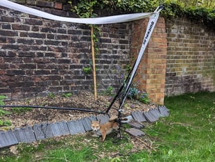 Devon homes have some of UK's most hazardous gardens for wildlife