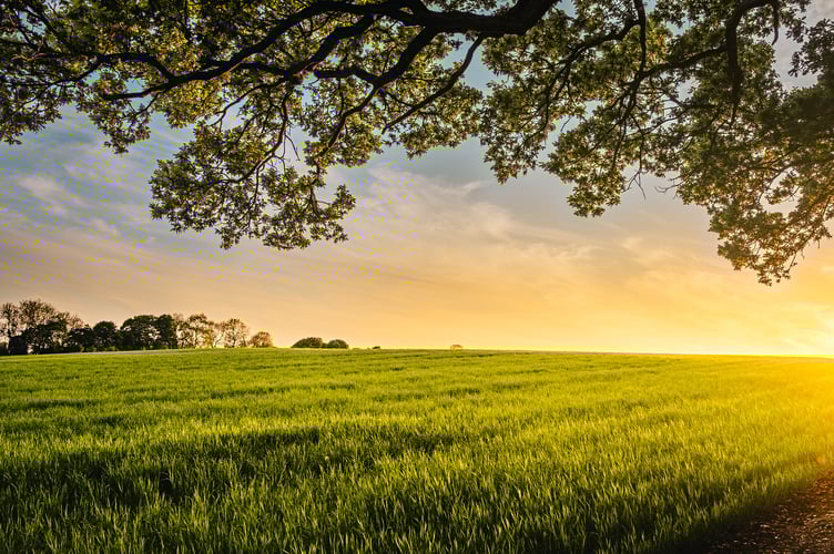 Farm field by Benjamin Davies unsplash.jpg