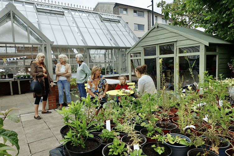 Volunteers and well-wishers celebrate 50 years