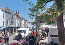 Totnes councillors to help with filling in town surveys