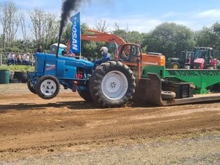 Totnes Show looking for stewards
