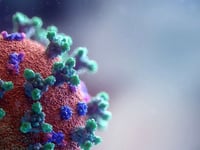 Data shows a rise in coronavirus cases in the South West
