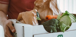 Devon Food Hubs launches £200,000 project to combat insecurity