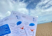 You're invited to take part in the Blackpool Sands quiz