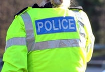 Female witness sought over Totnes collision 