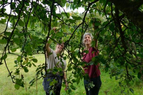 Brendon Orchard's future has been secured thanks to a £70,000 government grant
