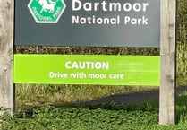 Review provides recommendations for protected sites on Dartmoor

