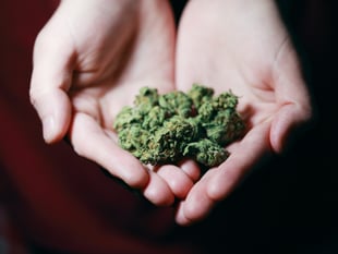 Cannabis quiche led gardener to launch raid on filling station
