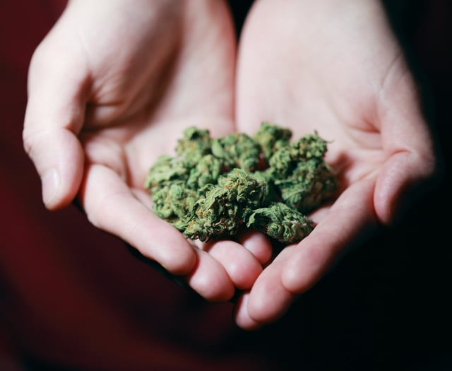 16-year-old boy ran £100,000 online cannabis shop

