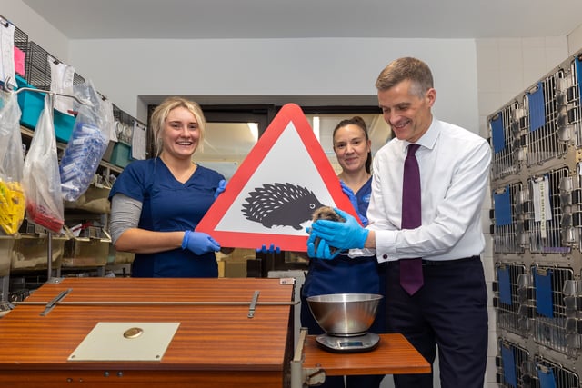 Simpler road signs to protect small animals and boost safety

