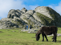 Supreme Court to hear wild camping challenge