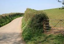 Ancient Devon hedges
