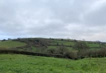 Grants for eco-friendly projects in the South Hams