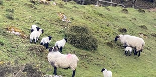 Chasing Crockern: A Journey through Dartmoor’s folklore