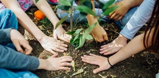 Sustainable South Hams secures £20,000 seed funding 