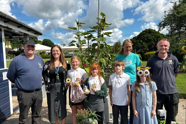 Tallest sunflower competition set to return