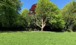 Celebrate nature and community at Ivybridge Festival Day 