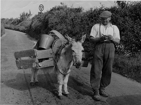 Alphaeus Ball, rabbit trapper of South Milton, previously a blacksmith with donkey.
The donkey is wearing a wooden frame and panniers which  were used to carry rabbits and bucket and sieve etc.