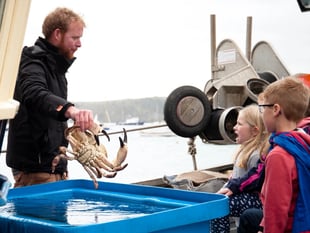 Salcombe Crabfest returns on Sunday
