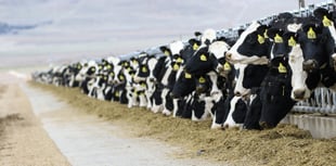 Farm pollution is damaging human health