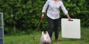 Gates open for first day of Devon County Show