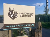 Donkey Sanctuary to shut sites including one in South Hams