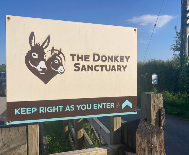 Financial challenges force closure of Ivybridge Donkey Sanctuary