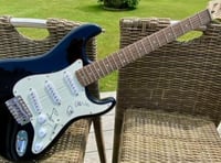 Signed Coldplay guitar up for grabs in hedgehog charity fundraiser