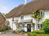 Thatched cottage for sale has a "wealth" of character