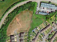 Forest turned into weedkiller wasteland