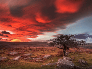 Five hikes to experience Dartmoor's beauty