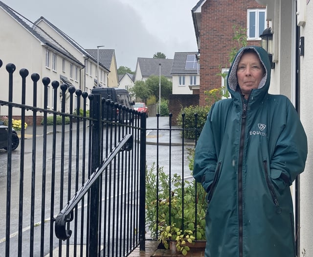 Dayle and Mark say their £330,000 house is now worth £1