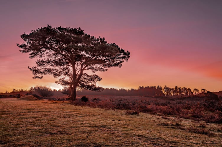 Local photo retailer shares top tips to capture Instagram-worthy sunset shots this summer - taken by Carl Hare