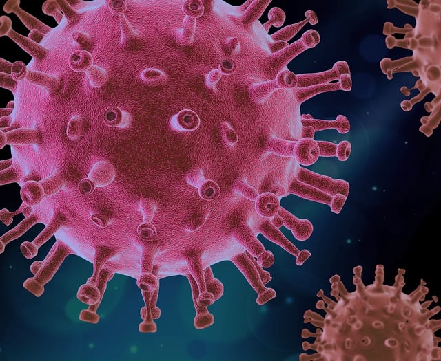 Infections expert warns of summer Covid increase