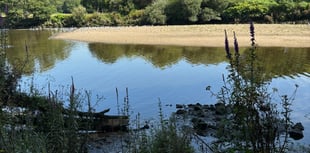 South Hams Village Voice | August 22 