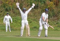 Tolchards Devon Cricket League weekend preview 31/08