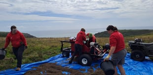 Southdown Farm completes first harvest of wildflower seeds