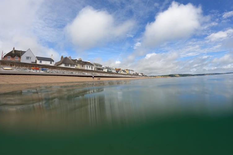 Nature Diary 11.09.2024 Swimming at Torcross